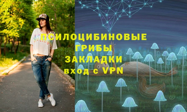 марки lsd Гусиноозёрск