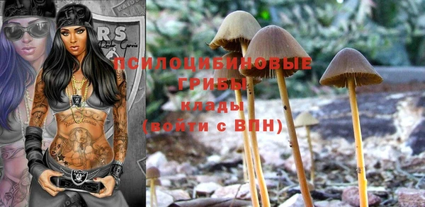 винт Гусь-Хрустальный