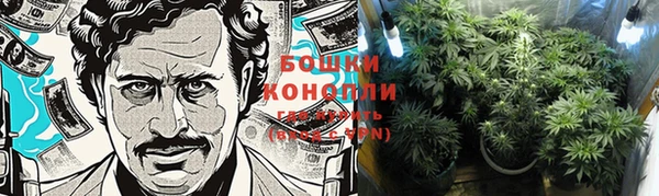 марки lsd Гусиноозёрск