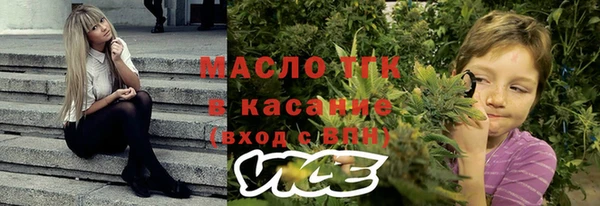 винт Гусь-Хрустальный