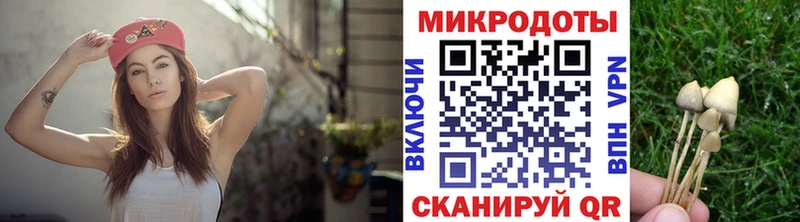 Галлюциногенные грибы Psilocybine cubensis  Жиздра 